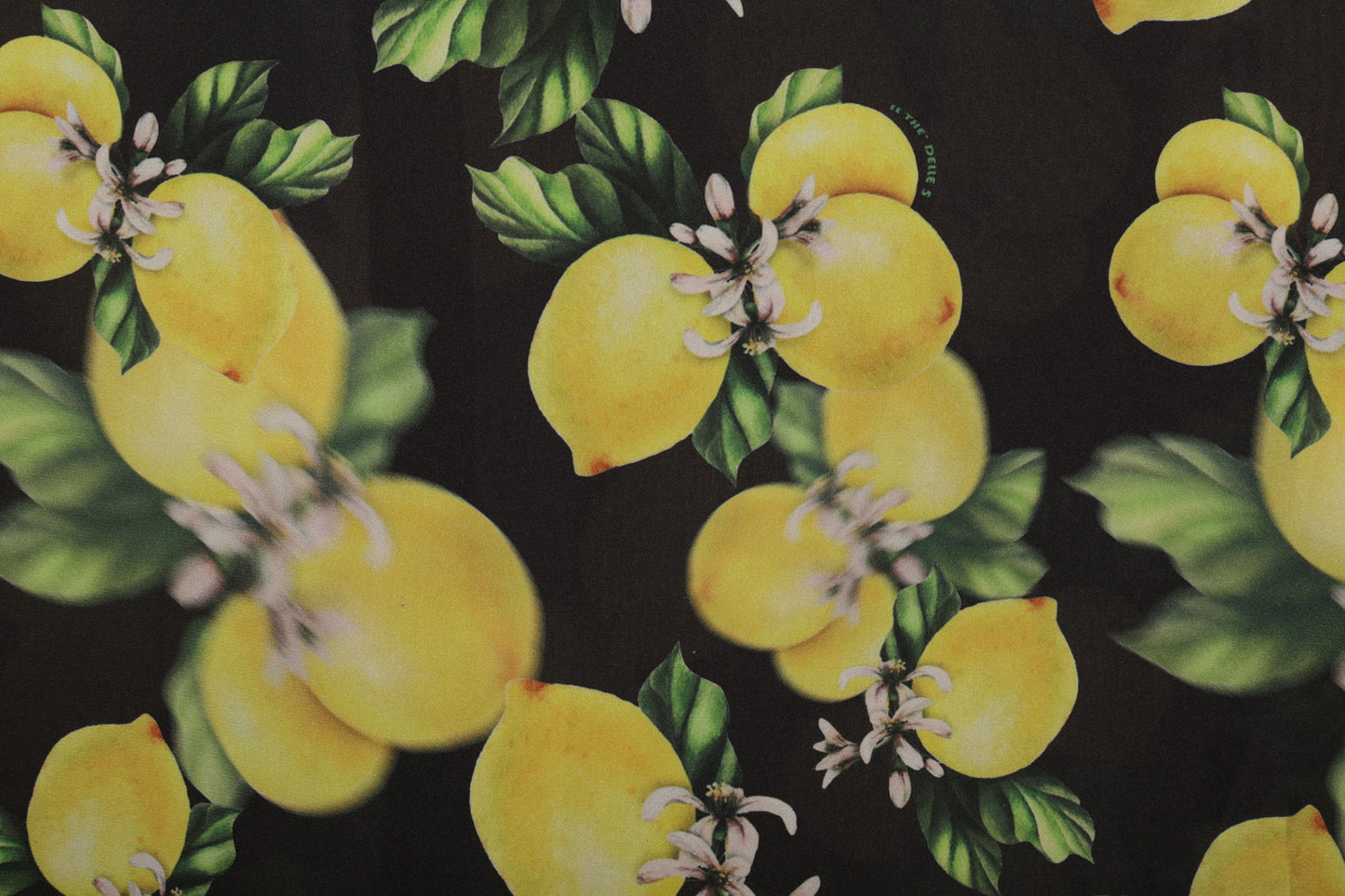 Riri Lemon - vestito